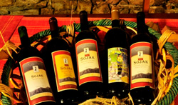 праздник вина и оливкового масла в Черногории